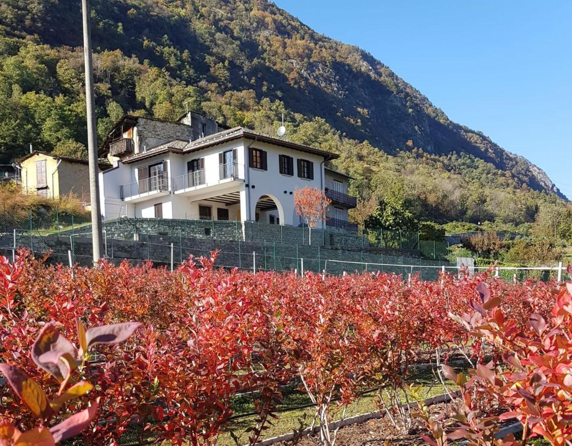 Guest House Le Cassandre Sondrio Exterior foto